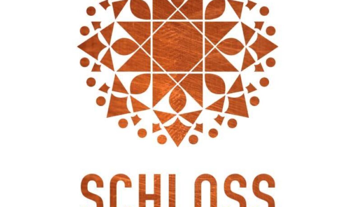 schloss fleesensee logo