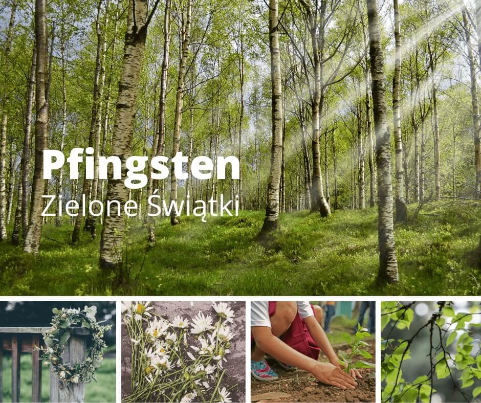 zielone świątki pfingsten w Niemczech