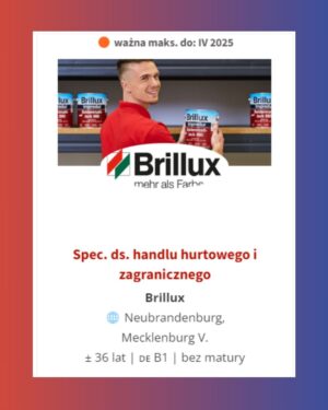 oferta Ausbildung Brillux oferta Ausbildung Brillux